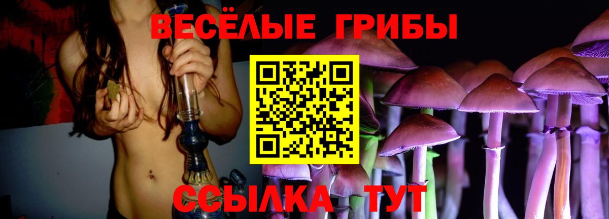 Галлюциногенные грибы ЛСД Саянск